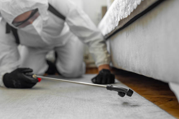 Professional Pest Control technician working in Polson, MT