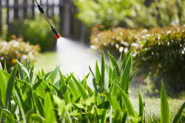 24/7 Emergency Pest Control experts in Polson, MT