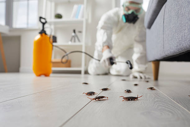 Affordable Pest Control solutions in Polson, MT