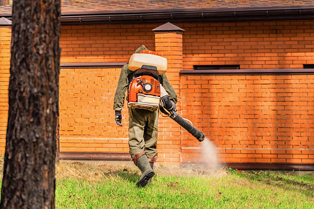 Top rated local Pest Control specialists in Polson, MT